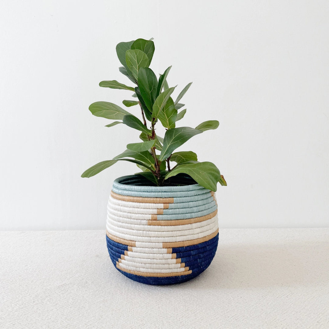 honey pot plant Muhazi Honey Pot Woven Basket – Cassia Clover