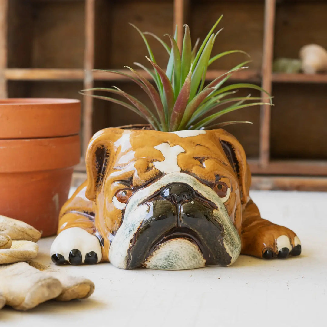Bulldog Ceramic Planter