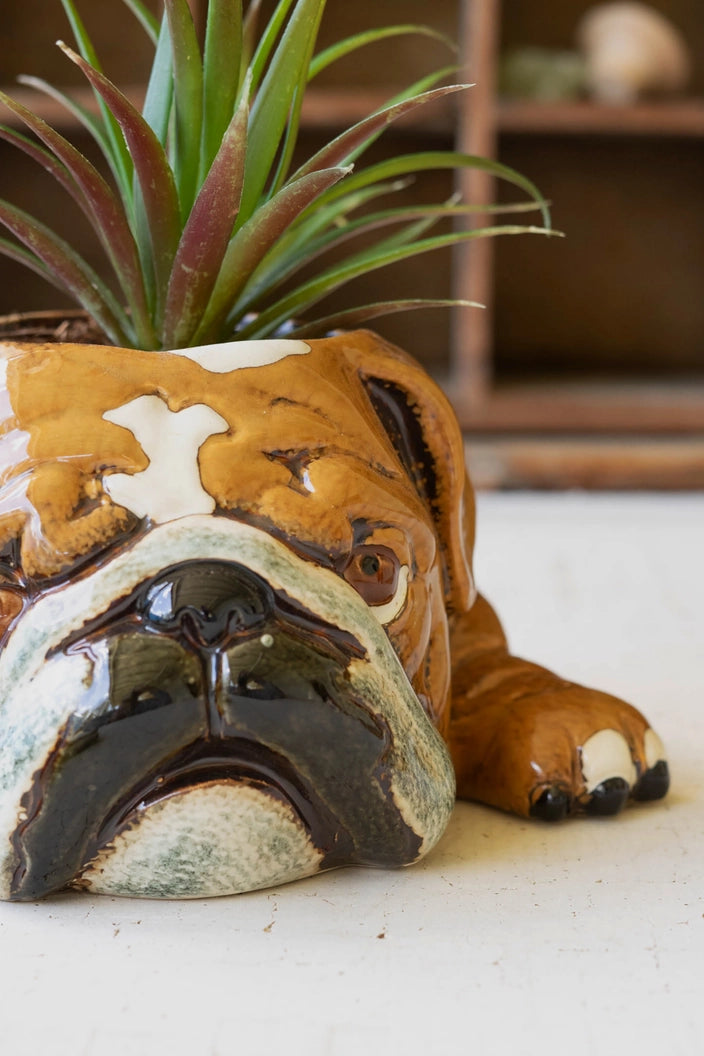 Bulldog Ceramic Planter