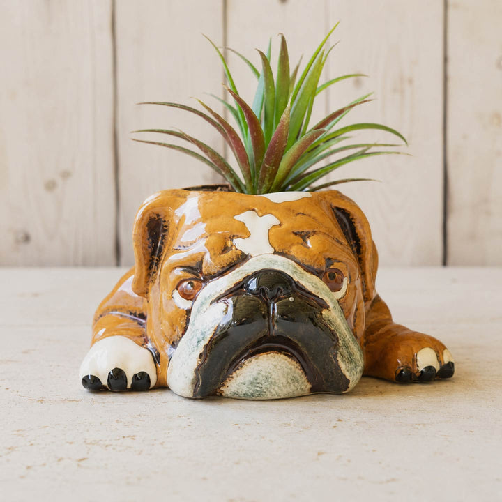 Bulldog Ceramic Planter