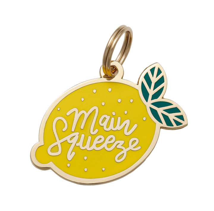 Main Squeeze Pet Tag